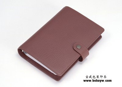 日记本 记事本 (10)