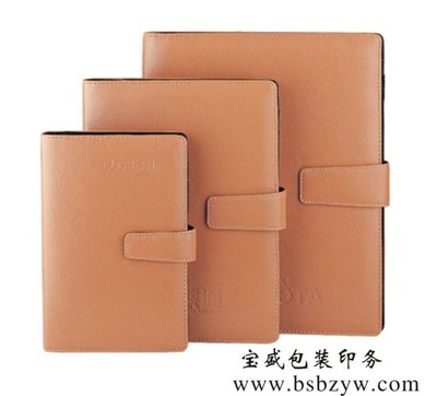 日记本 记事本 (11)